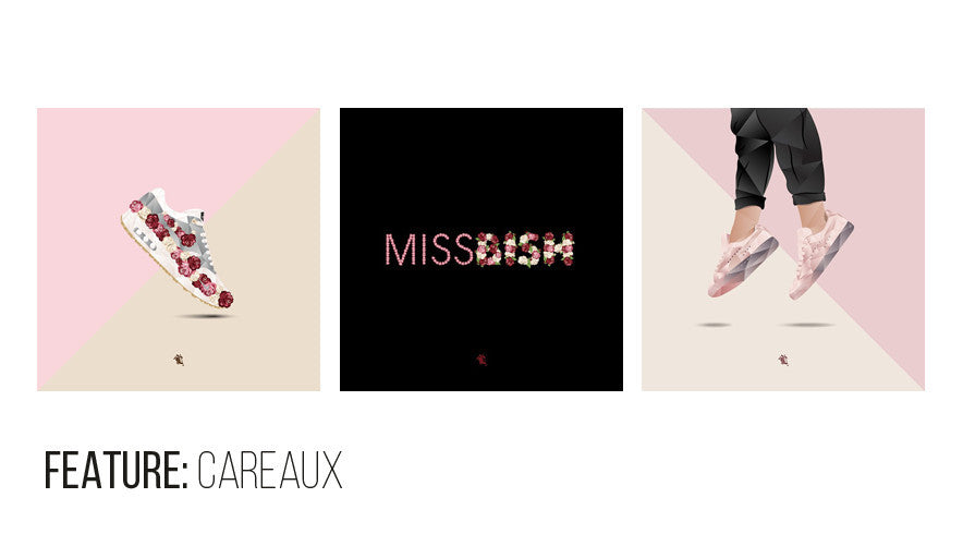 Feature: Careaux